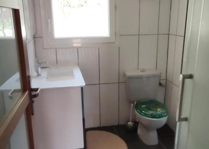 Le Jardin De Flore *